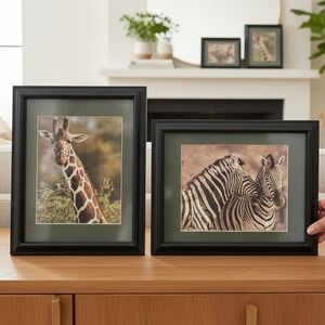 Vintage Set of 2 Framed Animal Prints Giraffe‎ Zebra Safari Wall Art Home Decor